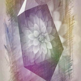 Flower stone iPhone5s / iPhone5c / iPhone5 Wallpaper