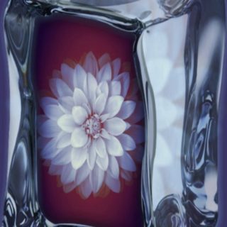 Flower cube iPhone5s / iPhone5c / iPhone5 Wallpaper