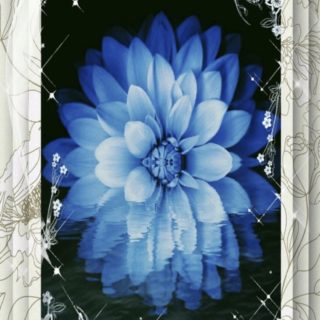 Flower Blue iPhone5s / iPhone5c / iPhone5 Wallpaper