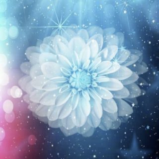 Flower Space iPhone5s / iPhone5c / iPhone5 Wallpaper