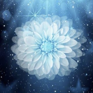 Flower Space iPhone5s / iPhone5c / iPhone5 Wallpaper