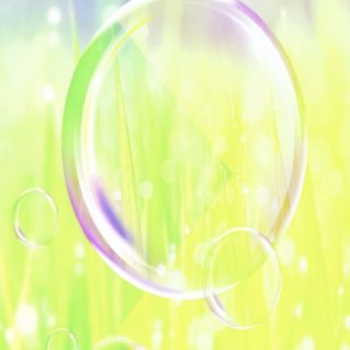 Soap bubble grass iPhone5s / iPhone5c / iPhone5 Wallpaper