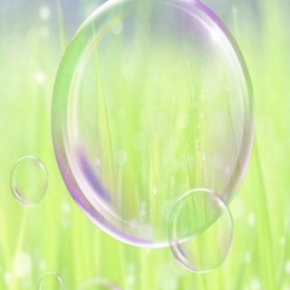 Grassy bubble iPhone5s / iPhone5c / iPhone5 Wallpaper