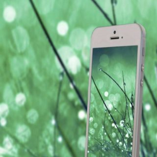 smartphone green iPhone5s / iPhone5c / iPhone5 Wallpaper