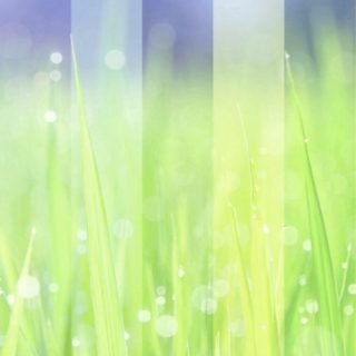 Grassy fantastic iPhone5s / iPhone5c / iPhone5 Wallpaper