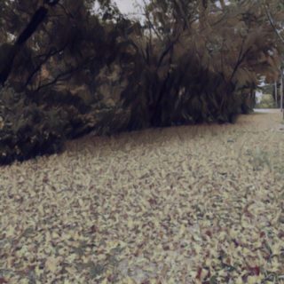 Fallen leaves monochrome iPhone5s / iPhone5c / iPhone5 Wallpaper