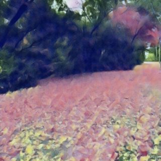 tree Flowers iPhone5s / iPhone5c / iPhone5 Wallpaper