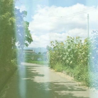 Summer Path iPhone5s / iPhone5c / iPhone5 Wallpaper