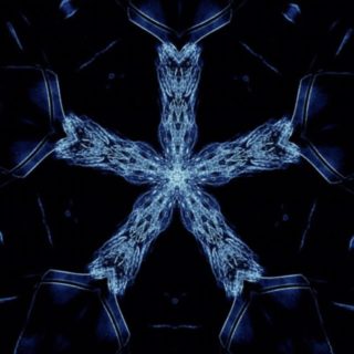 Starfish Blue iPhone5s / iPhone5c / iPhone5 Wallpaper