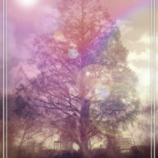 tree park iPhone5s / iPhone5c / iPhone5 Wallpaper