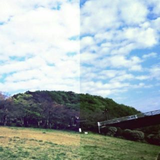 Lawn sky iPhone5s / iPhone5c / iPhone5 Wallpaper