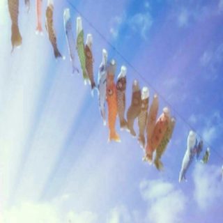 Carp streamer sky iPhone5s / iPhone5c / iPhone5 Wallpaper