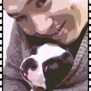 Dog bark iPhone5s / iPhone5c / iPhone5 Wallpaper