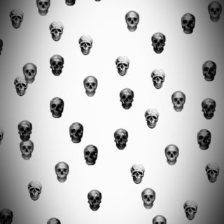 Skull iPhone5s / iPhone5c / iPhone5 Wallpaper