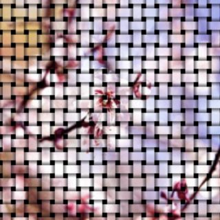 Cherry mesh iPhone5s / iPhone5c / iPhone5 Wallpaper