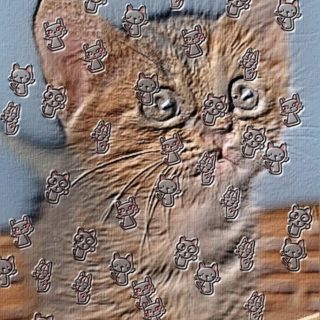 cat iPhone5s / iPhone5c / iPhone5 Wallpaper