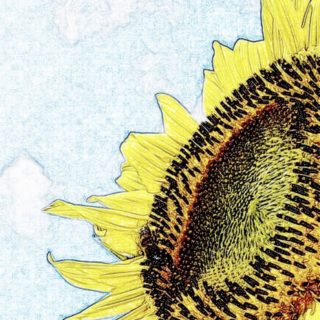 Sunflower Drawing iPhone5s / iPhone5c / iPhone5 Wallpaper