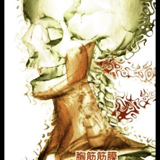 Skull frame iPhone5s / iPhone5c / iPhone5 Wallpaper