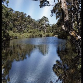 River nature iPhone5s / iPhone5c / iPhone5 Wallpaper