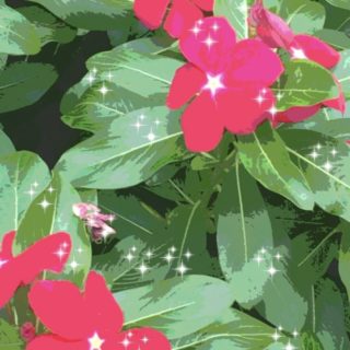 Flower light iPhone5s / iPhone5c / iPhone5 Wallpaper