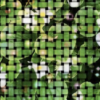 Flower mesh iPhone5s / iPhone5c / iPhone5 Wallpaper