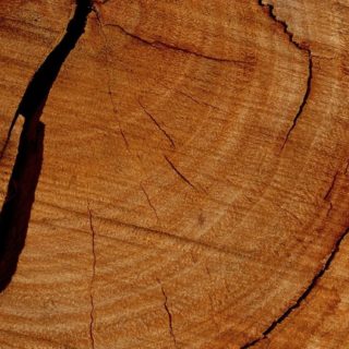 Natural wood iPhone5s / iPhone5c / iPhone5 Wallpaper