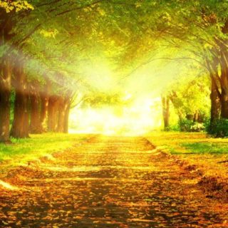 Landscape road green yellow iPhone5s / iPhone5c / iPhone5 Wallpaper