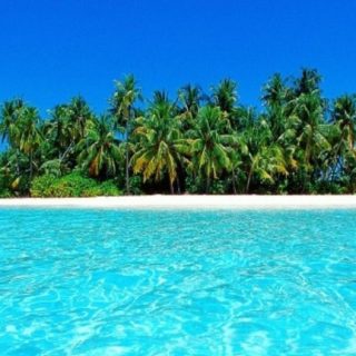 Landscape tropical blue iPhone5s / iPhone5c / iPhone5 Wallpaper