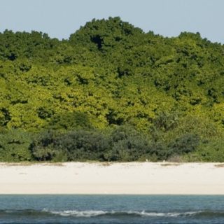 Landscape Island iPhone5s / iPhone5c / iPhone5 Wallpaper