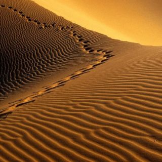 Desert landscape iPhone5s / iPhone5c / iPhone5 Wallpaper