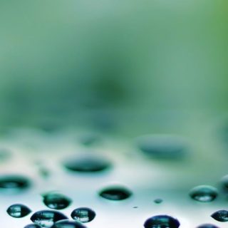 Natural water drops green iPhone5s / iPhone5c / iPhone5 Wallpaper