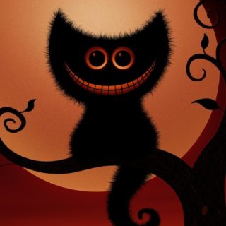 Black cat iPhone5s / iPhone5c / iPhone5 Wallpaper