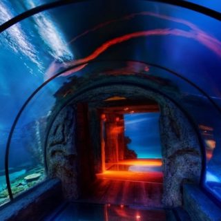 Landscape aquarium blue iPhone5s / iPhone5c / iPhone5 Wallpaper