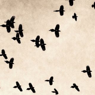 Animals Birds iPhone5s / iPhone5c / iPhone5 Wallpaper