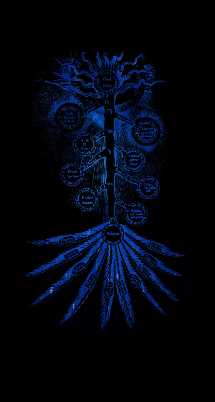 Tree of Life Cool wallpaper.sc iPhone5s,SE.