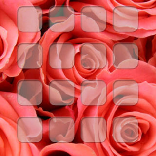 shelf  flower  red iPhone5s / iPhone5c / iPhone5 Wallpaper