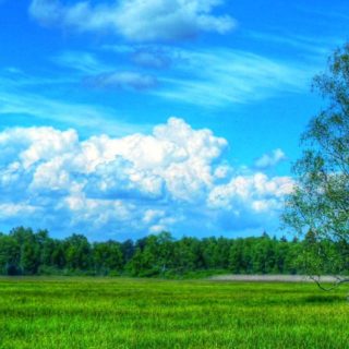 Grassland landscape iPhone5s / iPhone5c / iPhone5 Wallpaper
