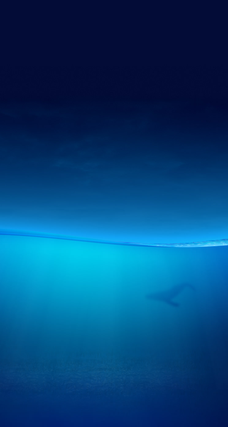 Animal Blue Whale Wallpaper Sc Iphone5s Se