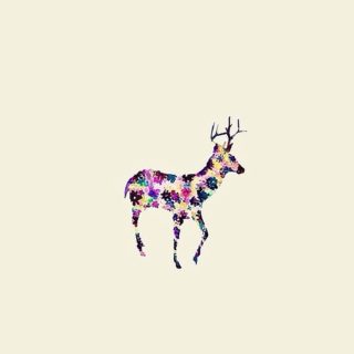 Animal picture deer iPhone5s / iPhone5c / iPhone5 Wallpaper