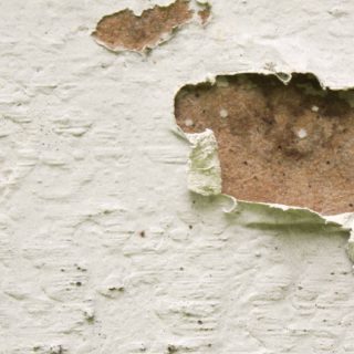 White peeling wall iPhone5s / iPhone5c / iPhone5 Wallpaper