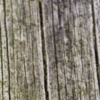 Wall wood iPhone5s / iPhone5c / iPhone5 Wallpaper