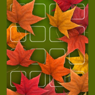 Shelf red autumn leaves  flower  green iPhone5s / iPhone5c / iPhone5 Wallpaper