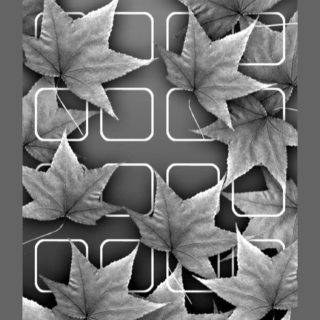 Shelf foliage flower black and white monochrome iPhone5s / iPhone5c / iPhone5 Wallpaper