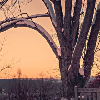 Landscape twilight snow iPhone5s / iPhone5c / iPhone5 Wallpaper