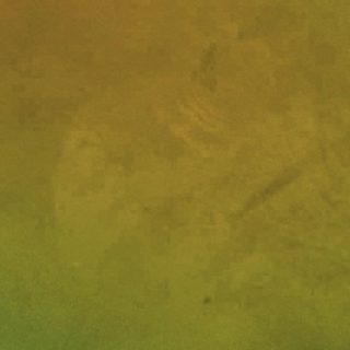 Yellow-green Brown iPhone5s / iPhone5c / iPhone5 Wallpaper