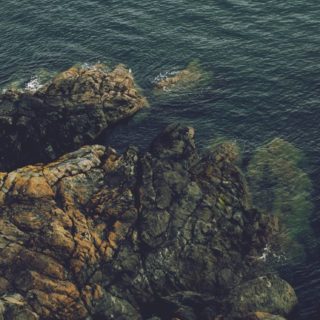 Landscape sea cliff iPhone5s / iPhone5c / iPhone5 Wallpaper