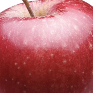 Food apple red iPhone5s / iPhone5c / iPhone5 Wallpaper