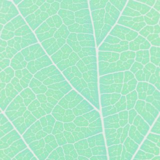Pattern vein Blue green iPhone5s / iPhone5c / iPhone5 Wallpaper