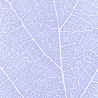 Pattern vein Blue purple iPhone5s / iPhone5c / iPhone5 Wallpaper