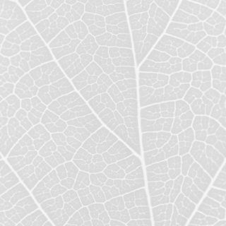 Pattern vein Gray iPhone5s / iPhone5c / iPhone5 Wallpaper